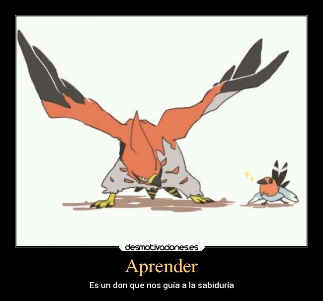 Aprender - Es un don que nos guía a la sabiduría