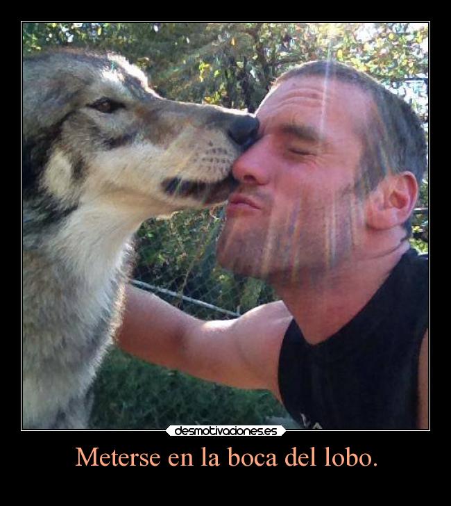 Meterse en la boca del lobo. - 
