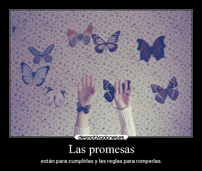 Las promesas - están para cumplirlas y las reglas para romperlas.