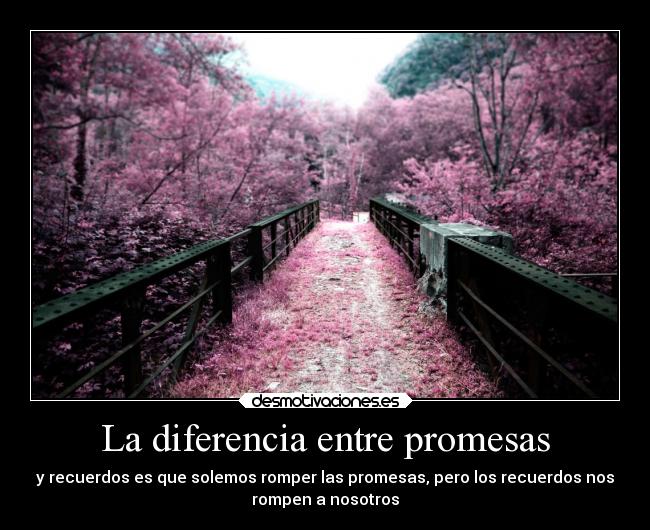 La diferencia entre promesas - y recuerdos es que solemos romper las promesas, pero los recuerdos nos
rompen a nosotros