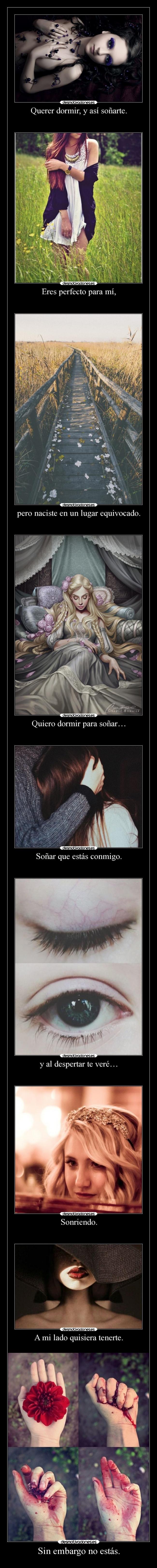 Sin embargo no estás. - 