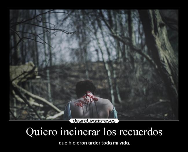 Quiero incinerar los recuerdos -