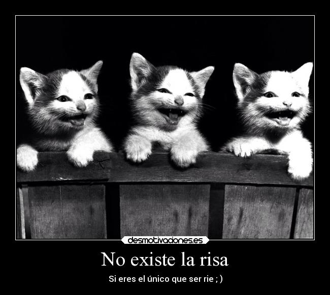 No existe la risa -