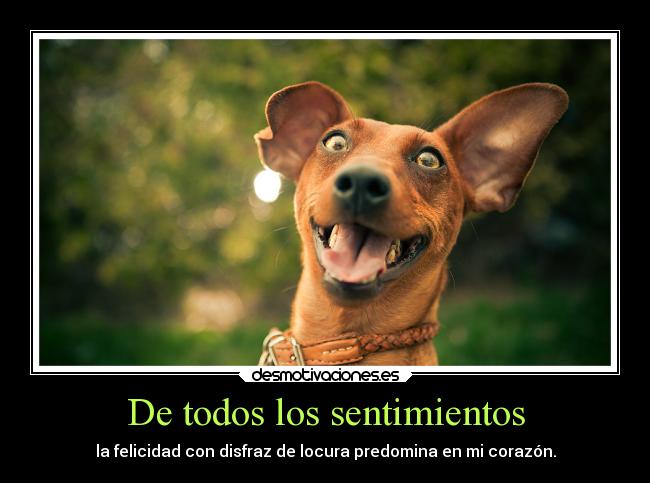 carteles sentimientos felicidad desmotivaciones