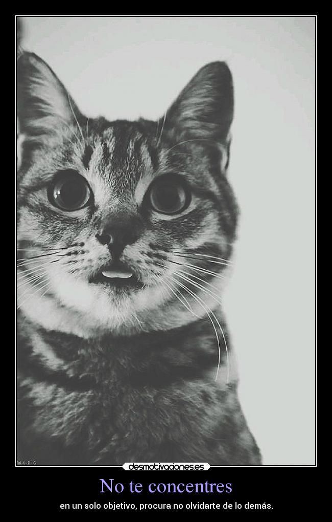 No te concentres - en un solo objetivo, procura no olvidarte de lo demás.