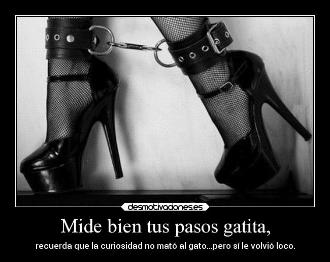 Mide bien tus pasos gatita, - 