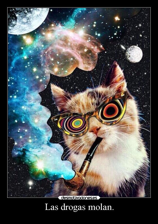 Las drogas molan. -