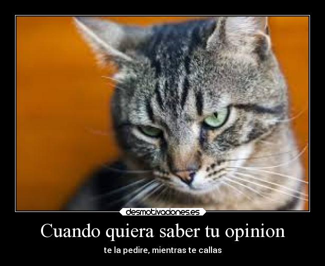 Cuando quiera saber tu opinion - te la pedire, mientras te callas