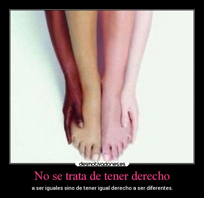 carteles sociedad melbita100 desmotivaciones