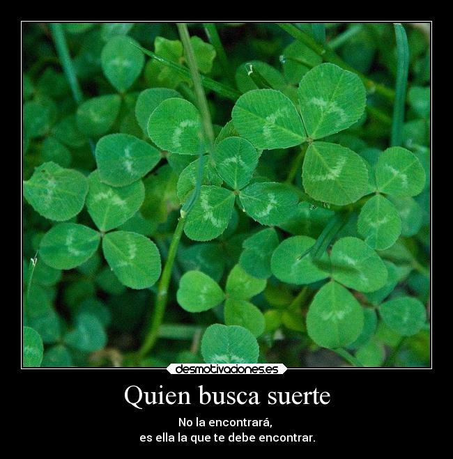 Quien busca suerte - No la encontrará, 
es ella la que te debe encontrar.