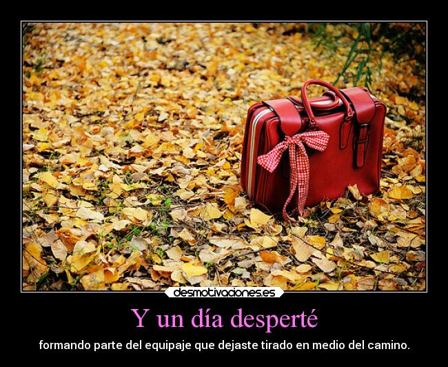 carteles sonrisa dolor odio llorar amigos abandono otra vez confie tonta imbecil debil triste falsa amiga desmotivaciones