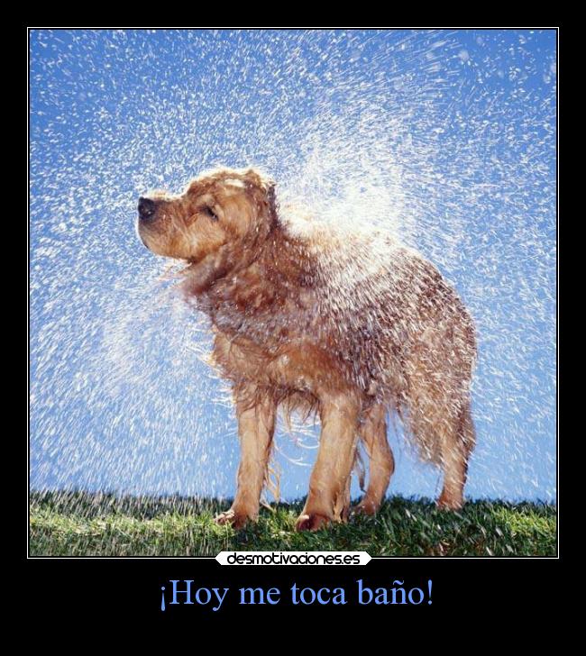 ¡Hoy me toca baño! - 