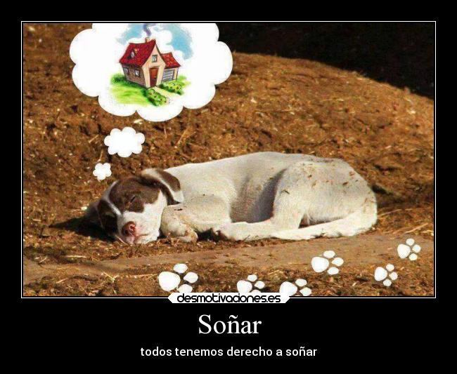 Soñar - 