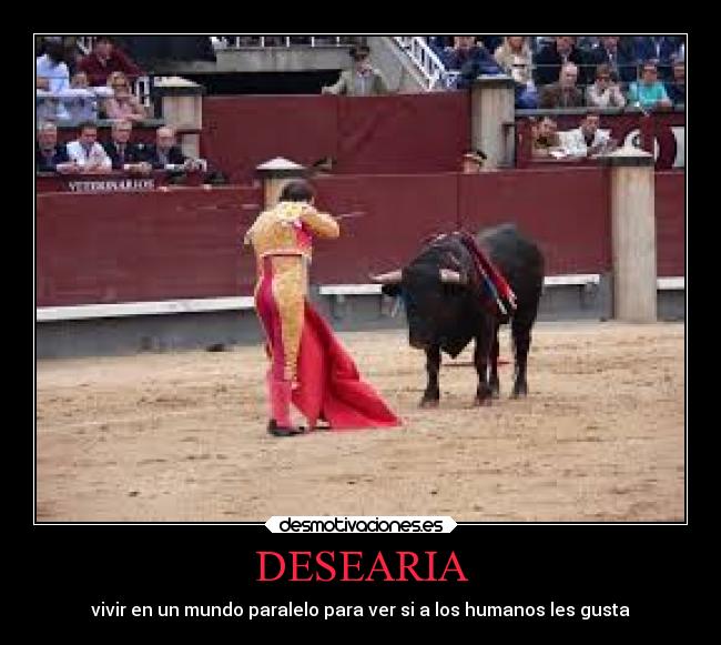 carteles tonto corridas toros desmotivaciones