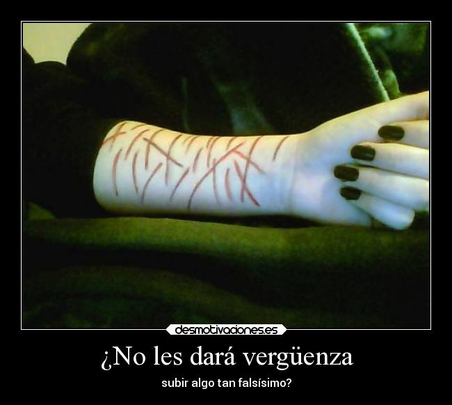 carteles tonto falsoemollamandolaatencion sangre falsa desmotivaciones