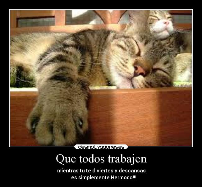 Que todos trabajen - mientras tu te diviertes y descansas
es simplemente Hermoso!!!