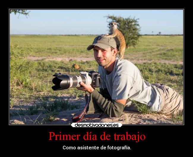 Primer día de trabajo - Como asistente de fotografía.