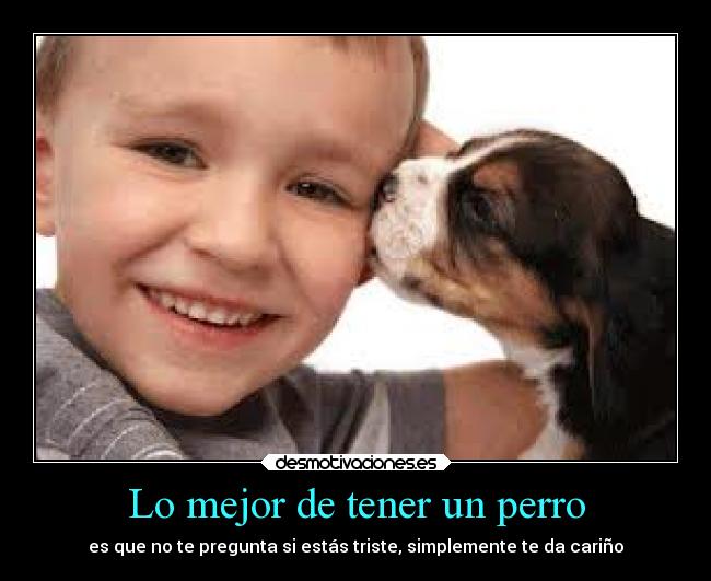 Lo mejor de tener un perro - 