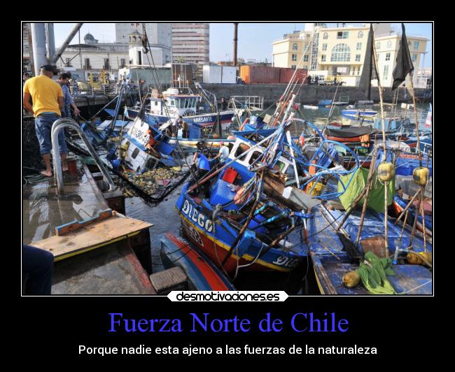 Fuerza Norte de Chile - 