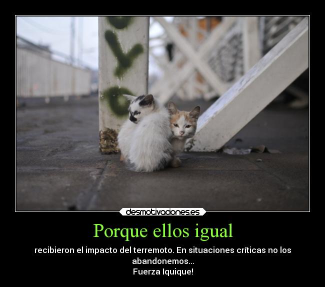 Porque ellos igual - recibieron el impacto del terremoto. En situaciones críticas no los
abandonemos...
Fuerza Iquique!