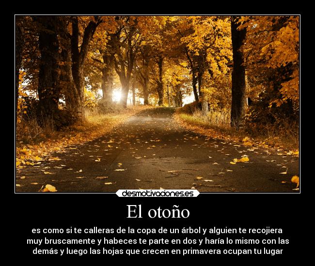 El otoño - es como si te calleras de la copa de un árbol y alguien te recojiera
muy bruscamente y habeces te parte en dos y haría lo mismo con las
demás y luego las hojas que crecen en primavera ocupan tu lugar