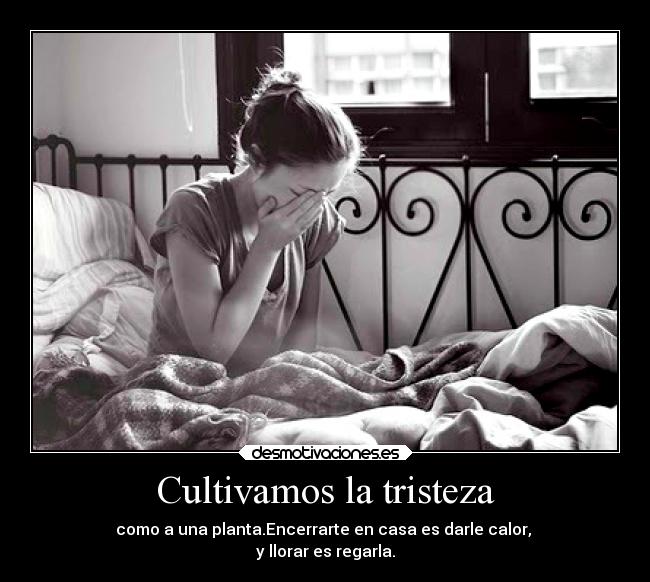 Cultivamos la tristeza -