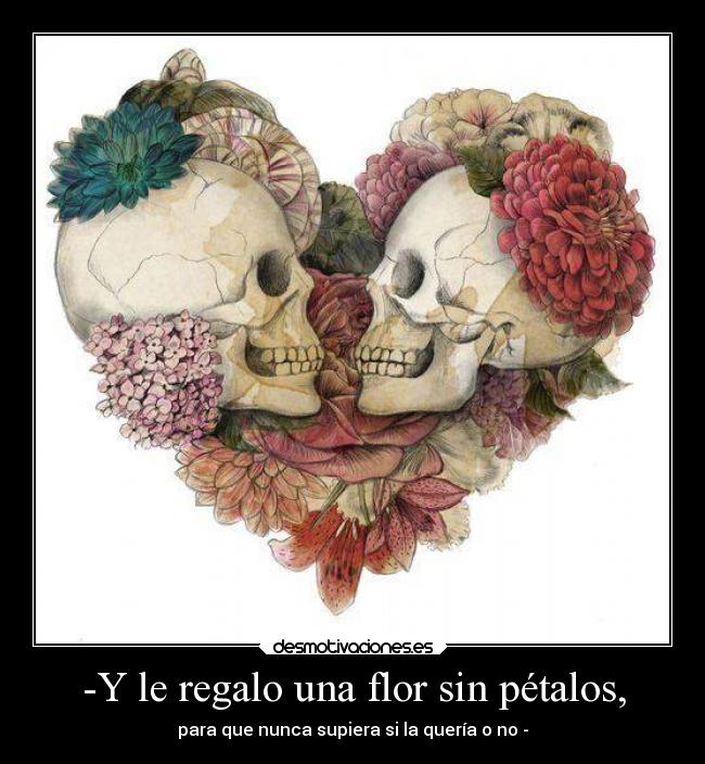 -Y le regalo una flor sin pétalos, - para que nunca supiera si la quería o no -