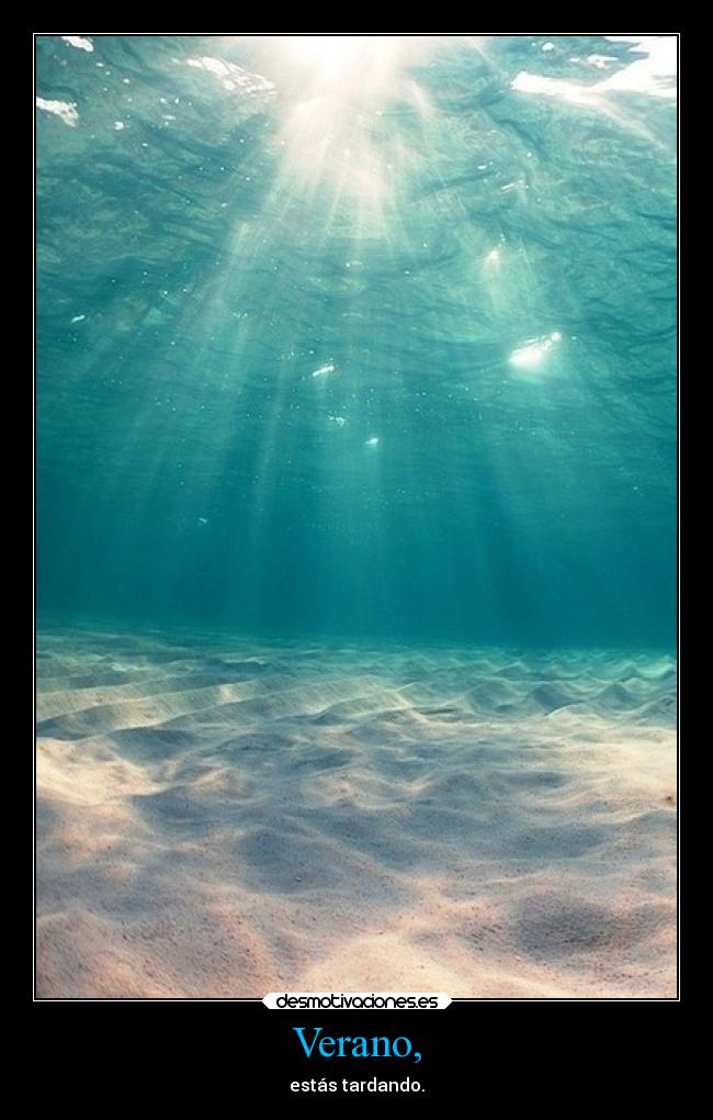 carteles verano motivaciones locura imaginacion fiesta felicidad amigos suenos desmotivaciones