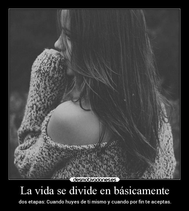 La vida se divide en básicamente -