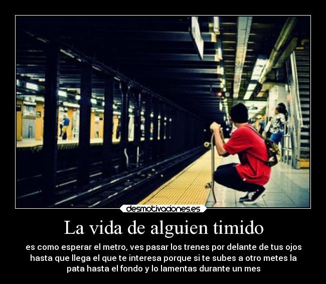 La vida de alguien timido -