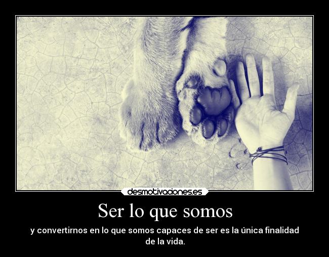 carteles vida amm robert louis stevenson rob desmotivaciones