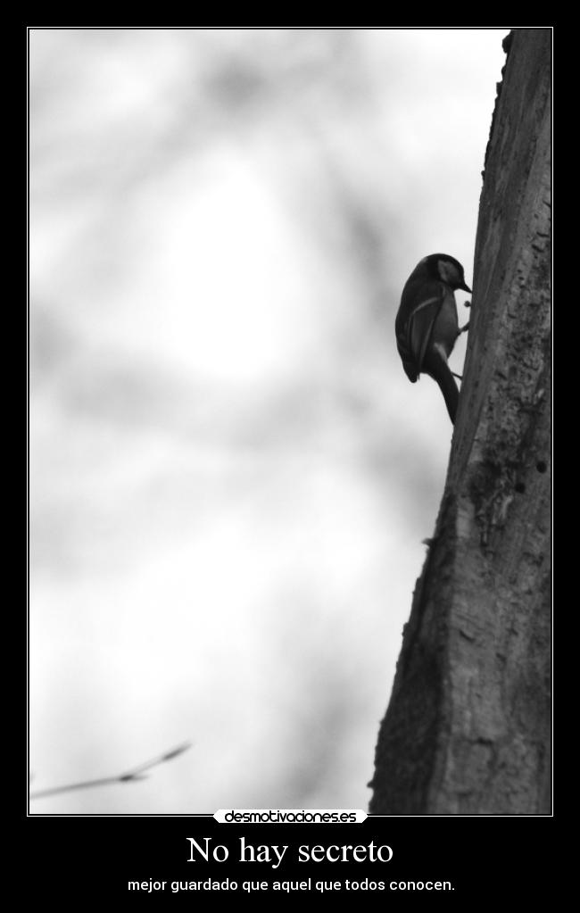 No hay secreto - 
