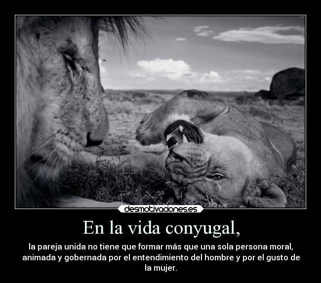 En la vida conyugal, - la pareja unida no tiene que formar más que una sola persona moral,
animada y gobernada por el entendimiento del hombre y por el gusto de
la mujer.