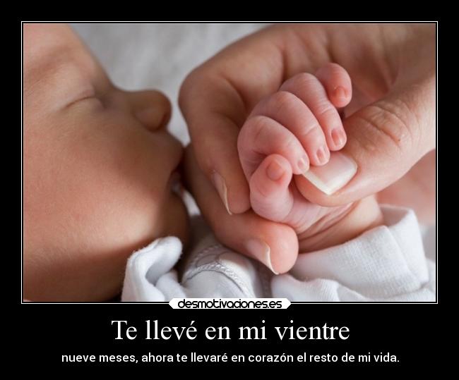 carteles vida amor amistad alegria alma desmotivaciones