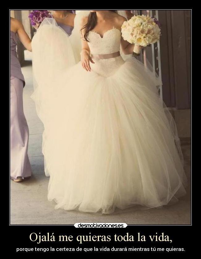 carteles vida amor alma mieldalaabeja hijosdelagranprogenitora desmotivaciones