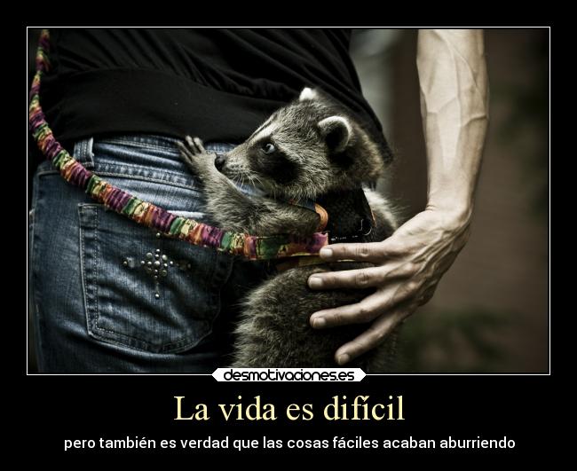 La vida es difícil - 