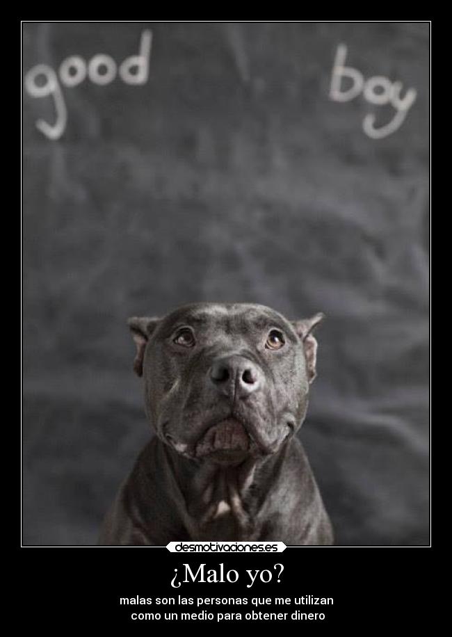 carteles vida animales perritu rdm soyunidiotatm clandesplazado desmotivaciones