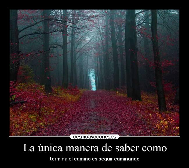 La única manera de saber como - termina el camino es seguir caminando