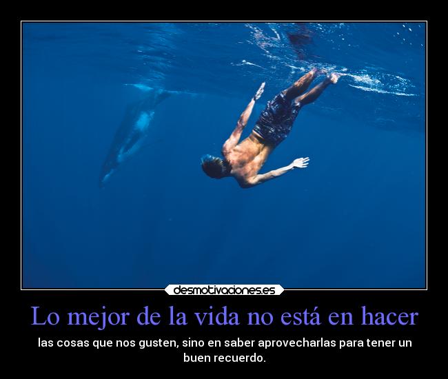 carteles vida vida cosas aprovechar desmotivaciones