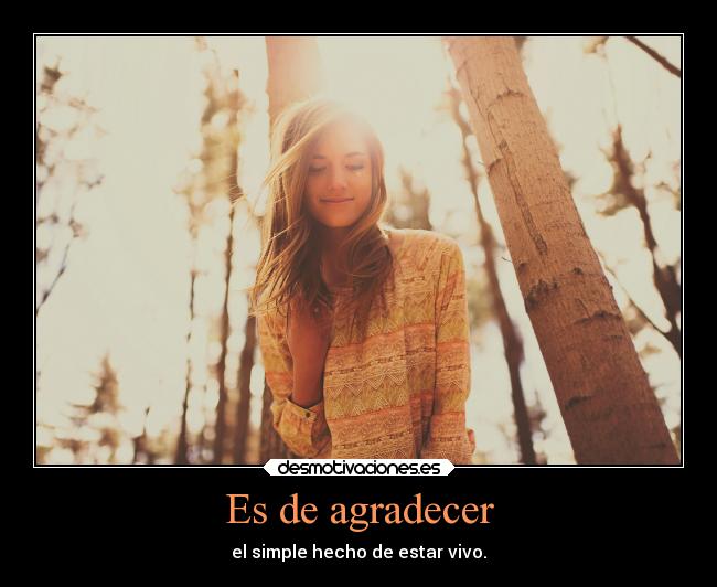 Es de agradecer - 