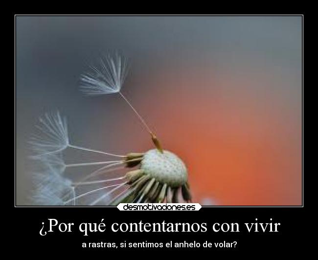 ¿Por qué contentarnos con vivir -
