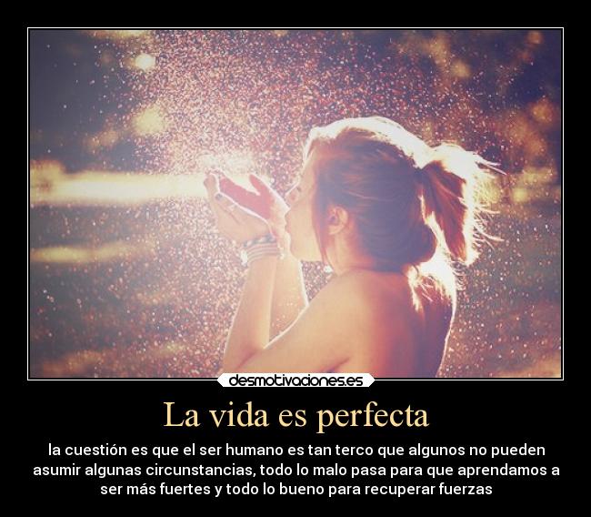 La vida es perfecta -