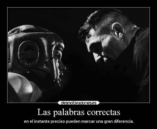 Las palabras correctas - 