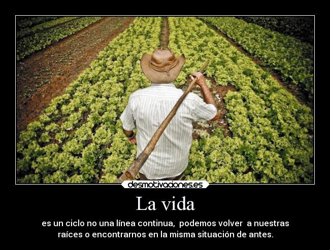 La vida -