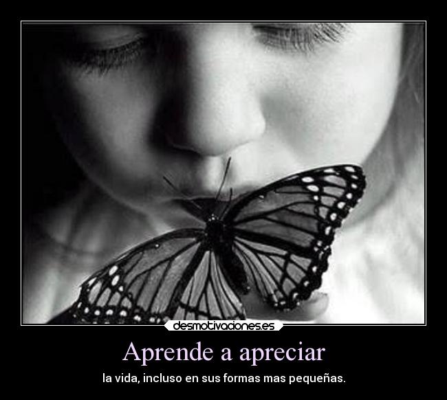 Aprende a apreciar - la vida, incluso en sus formas mas pequeñas.