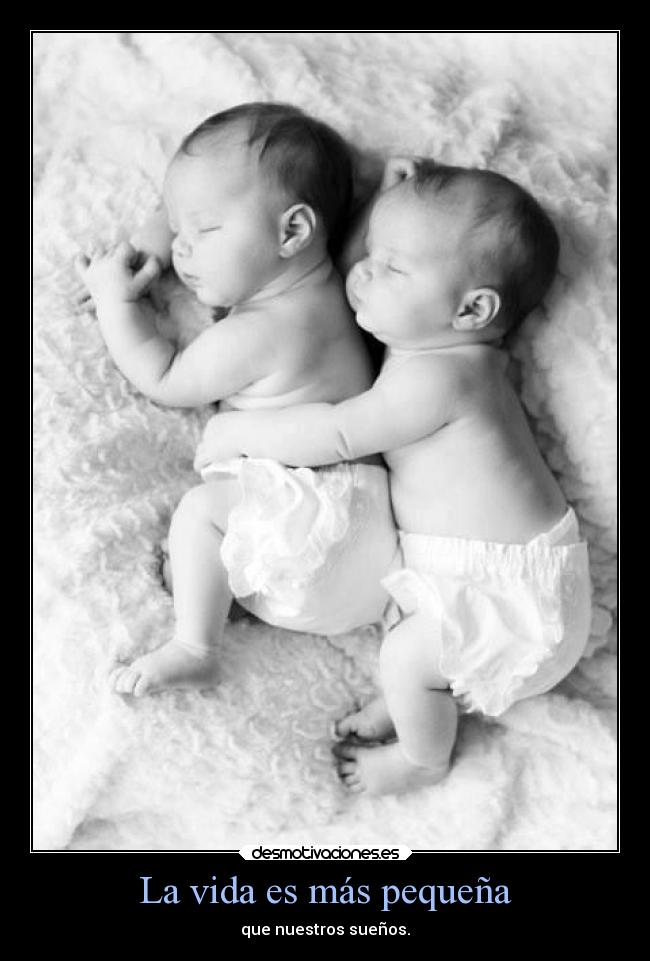 La vida es más pequeña -