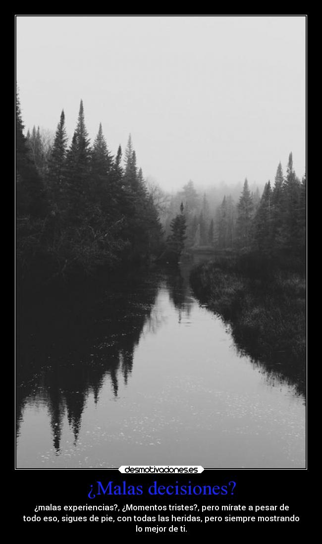 ¿Malas decisiones? - ¿malas experiencias?, ¿Momentos tristes?, pero mírate a pesar de
todo eso, sigues de pie, con todas las heridas, pero siempre mostrando
lo mejor de ti.