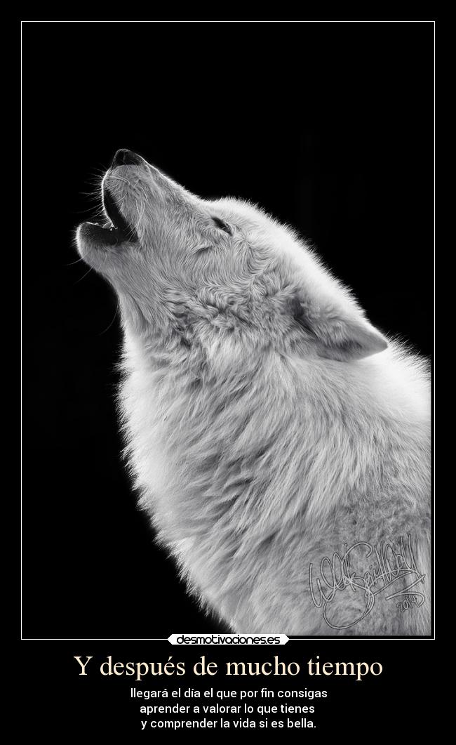 Y después de mucho tiempo - 
