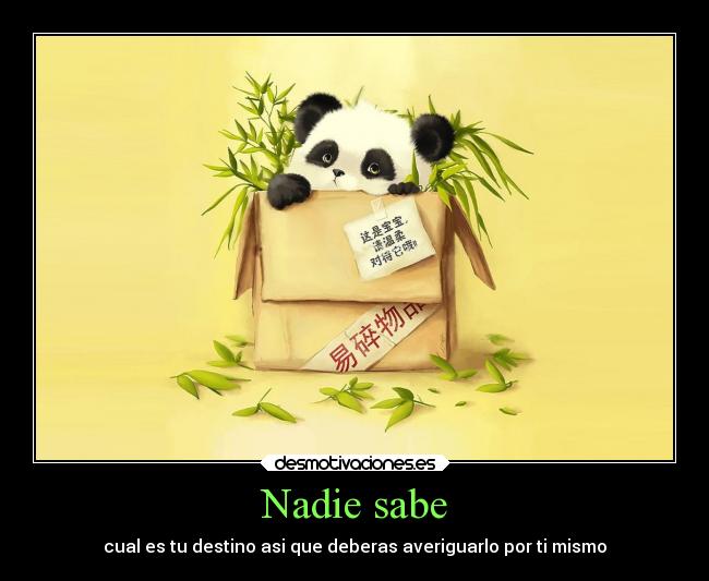 Nadie sabe -