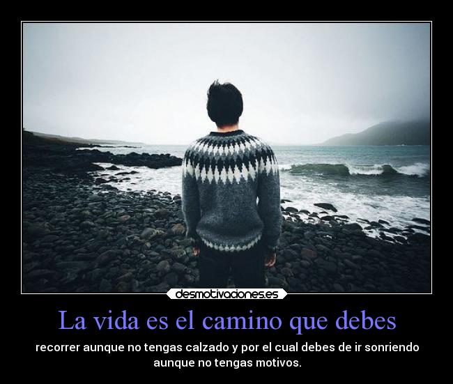 La vida es el camino que debes - 